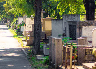 ADP Oradea a angajat mai mulți gropari pentru Cimitirul Municipal și a cumpărat un utilaj multifuncțional pentru săparea mai rapidă a mormintelor