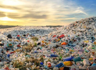 47 tone deşeuri, oprite de la intrarea în țară în Bihor. România, inundată de importuri ilegale făcute de firme locale care ard deșeurile și provoacă o poluare masivă