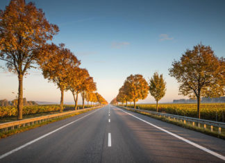 Camere de supraveghere pe marginea drumurilor din Bihor pentru a-i prinde pe cei care aruncă ilegal deșeuri pe câmp și în parcări