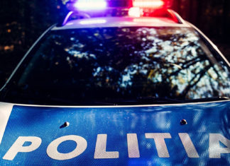 Un bărbat a sfârșit tragic în timp ce se afla la cules de ciuperci într-o pădure din județul Bihor.