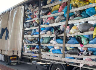 Peste 33 de tone de deșeuri oprite la Vama Borș