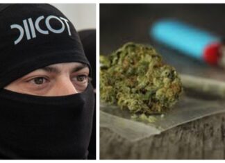 83 percheziții efectuate în mai multe județe de DIICOT la persoane suspecte de trafic de migranți, droguri, contrabandă de țigări și corupție