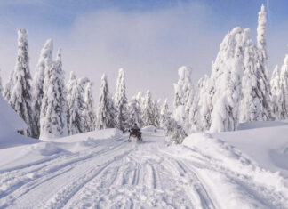 37 de localități din județul Bihor, fără curent electric, din cauza ninsorilor. Sunt aproape 10.000 de consumatori afectați