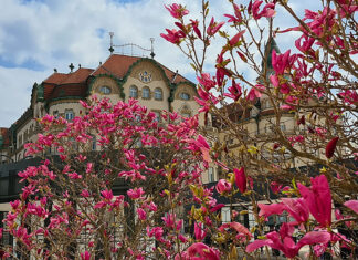 Echinocţiu: Primăvara astronomică începe azi la ora 23.24