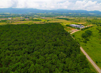 S-a semnat contractul pentru execuția lucrărilor la Centura Beiuș- Etapa II