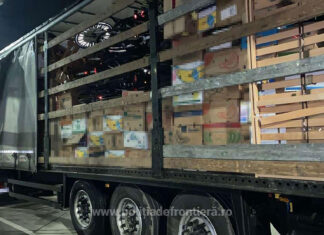 Aproximativ 190 de tone de deşeuri, oprite la intrarea în ţară în Borș II și Nădlac II