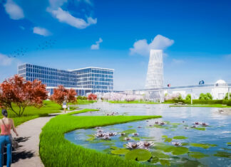 Ședință publică pentru realizarea Grădinii urbane Nufărul